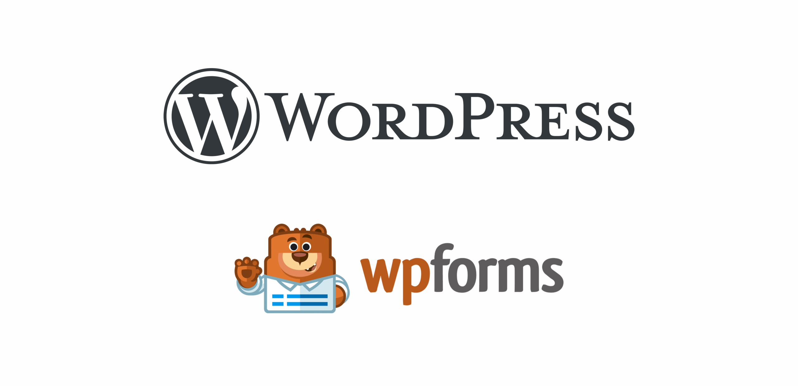 WPForms Entry Manager - Featured Project Image